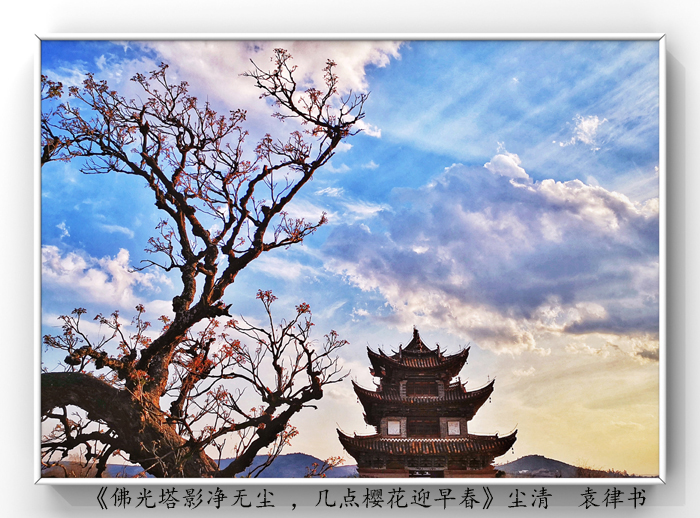 025《佛光塔影凈無(wú)塵 ，幾點(diǎn)櫻花迎早春》.jpg